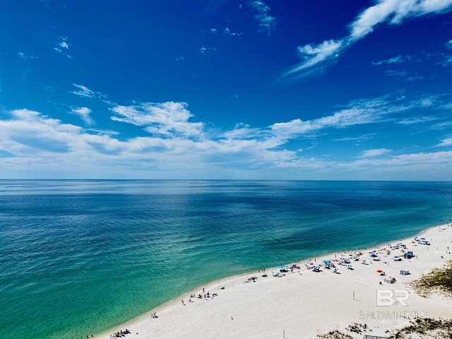 water view featuring a beach view