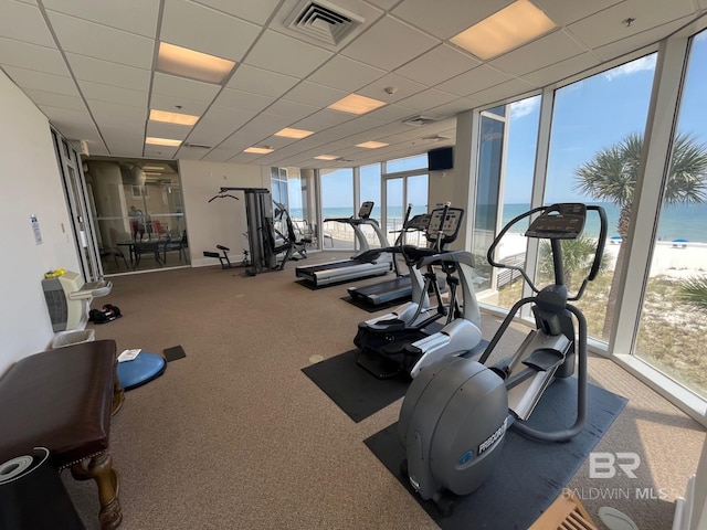 workout area featuring carpet flooring, expansive windows, and a paneled ceiling