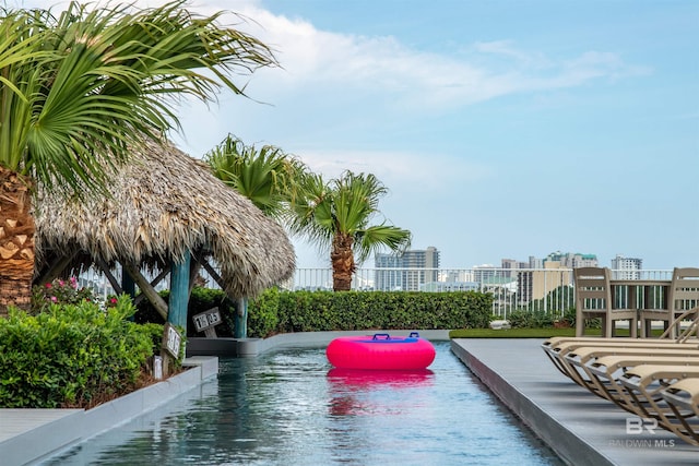 view of swimming pool