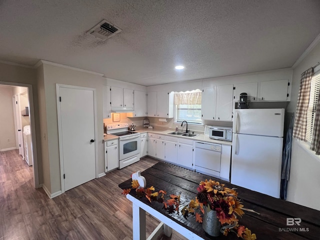 kitchen with sink, dark hardwood / wood-style flooring, a textured ceiling, white appliances, and white cabinets