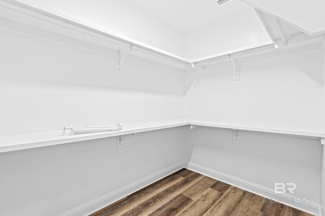 spacious closet featuring dark hardwood / wood-style flooring