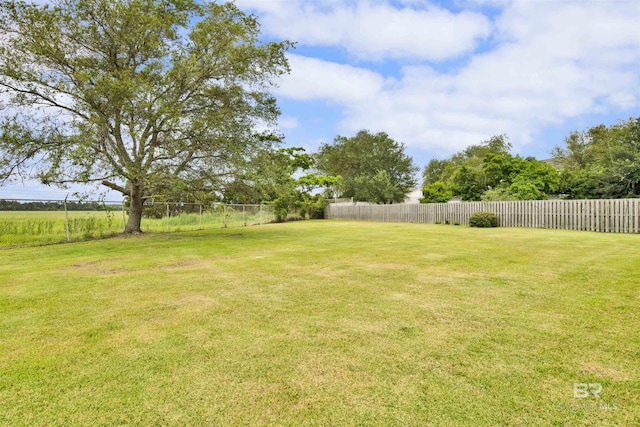 view of yard