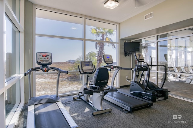 gym featuring carpet and expansive windows