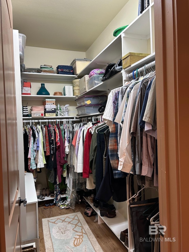 spacious closet with hardwood / wood-style flooring