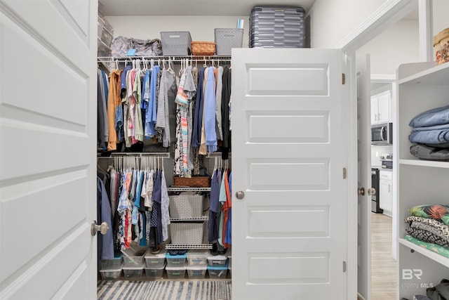 walk in closet with hardwood / wood-style flooring