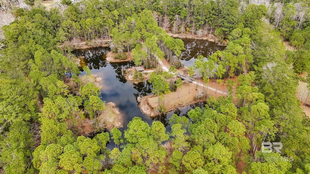 drone / aerial view featuring a water view and a view of trees