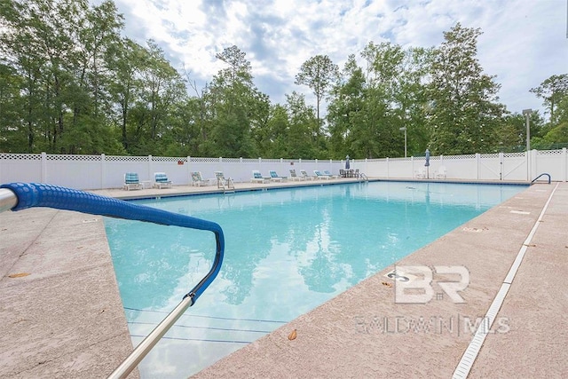 view of swimming pool