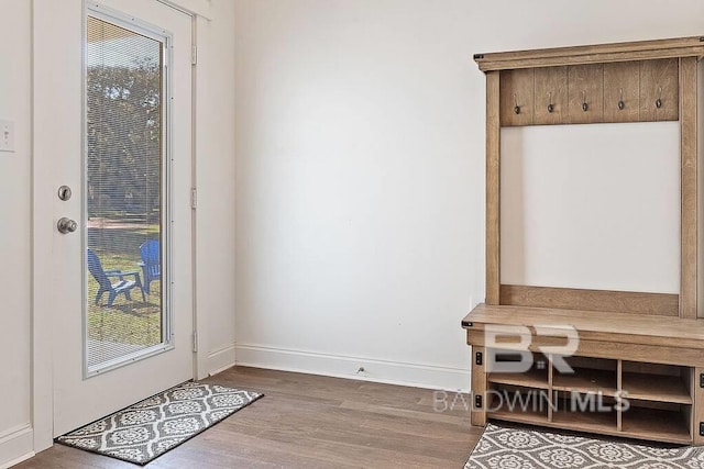 interior space with hardwood / wood-style floors and a healthy amount of sunlight