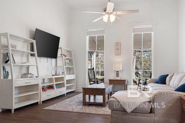 living room with ceiling fan, ornamental molding, and dark wood-type flooring