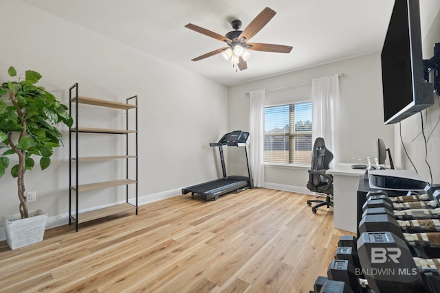 exercise area featuring ceiling fan and light wood-type flooring