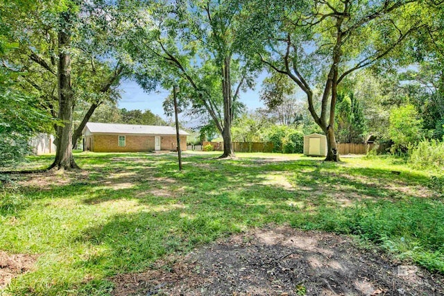 view of yard featuring a storage shed