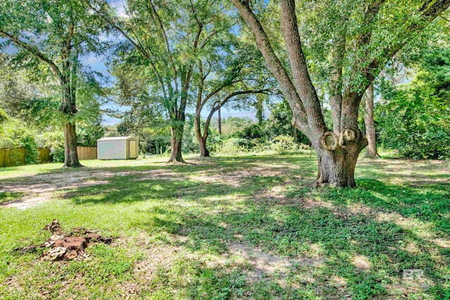 view of yard featuring a storage unit