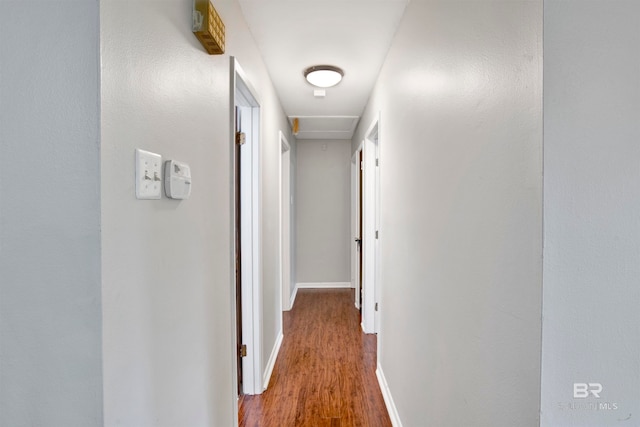 hallway with wood-type flooring