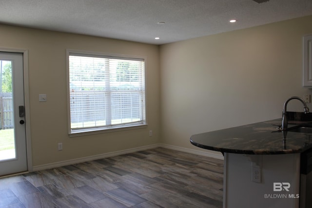 unfurnished dining area with sink, a wealth of natural light, and dark wood-type flooring