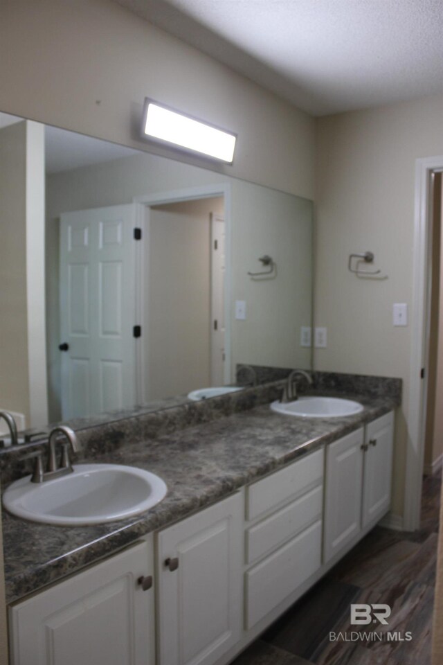 bathroom featuring dual bowl vanity