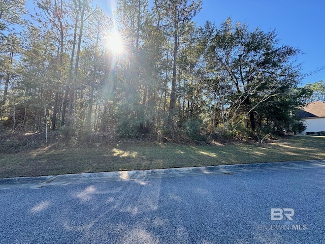 Listing photo 2 for 0 Stone Mill Dr, Mobile AL 36619