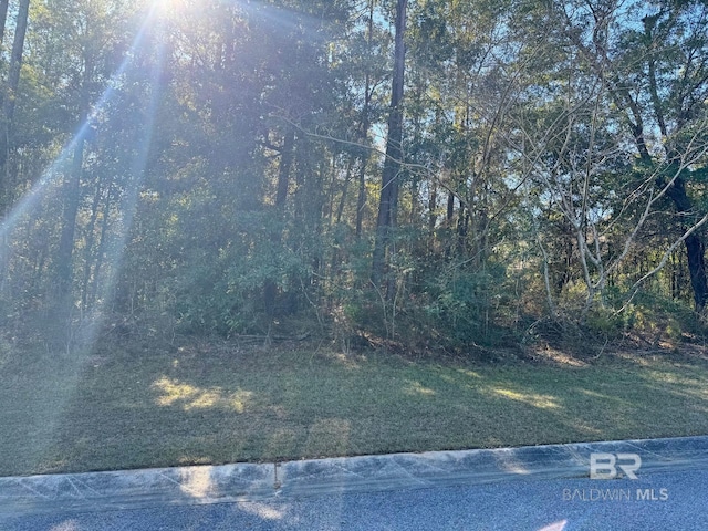 Listing photo 3 for 0 Stone Mill Dr, Mobile AL 36619