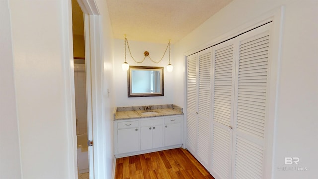 bathroom with vanity, wood finished floors, and a closet