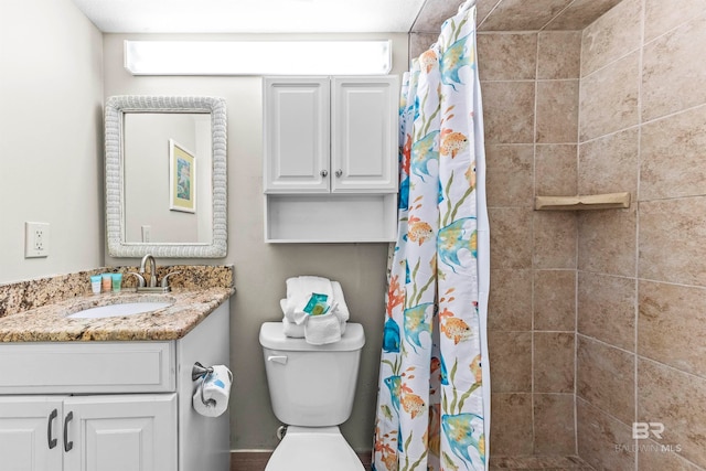 bathroom featuring vanity, toilet, and a shower with curtain