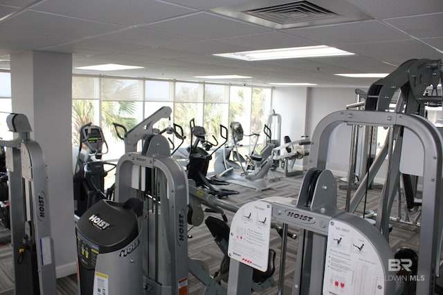 workout area featuring a drop ceiling and floor to ceiling windows