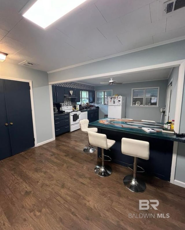 kitchen with crown molding, white appliances, ceiling fan, dark hardwood / wood-style floors, and blue cabinets