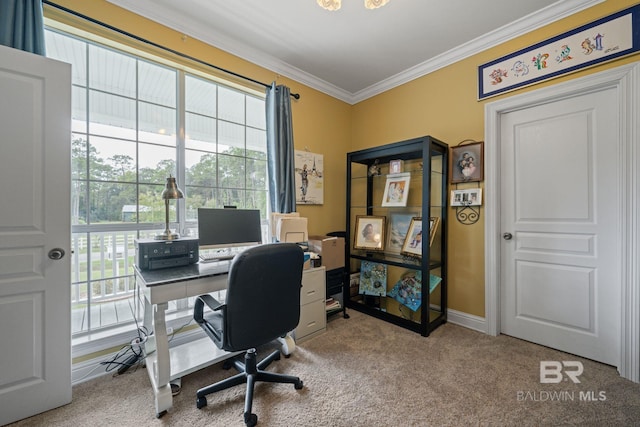 home office with carpet floors, ornamental molding, and plenty of natural light