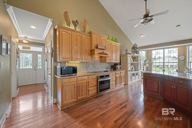 kitchen featuring ceiling fan, appliances with stainless steel finishes, dark hardwood / wood-style floors, crown molding, and decorative backsplash