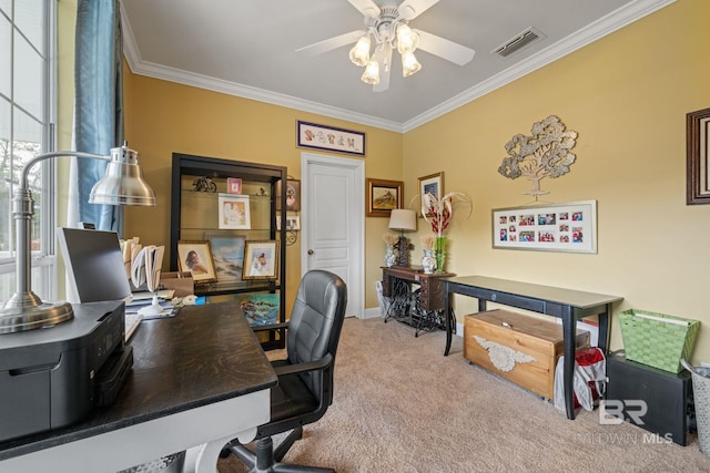 carpeted office with ornamental molding and ceiling fan