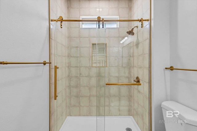 full bathroom with toilet and a shower stall
