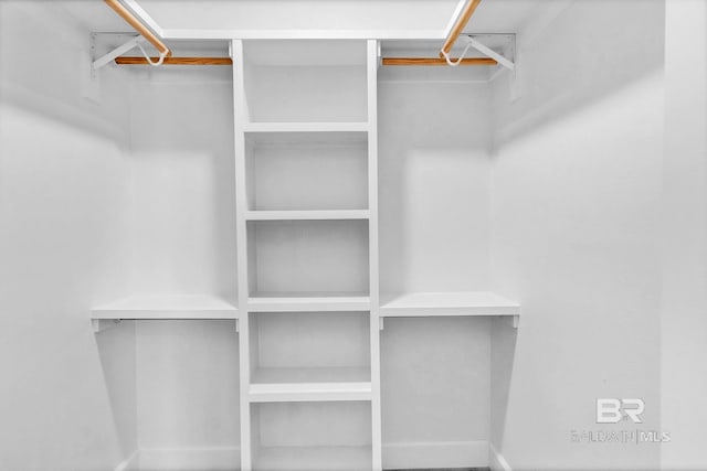 view of walk in closet