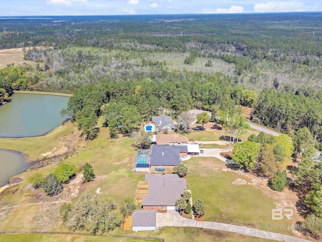 drone / aerial view with a water view and a view of trees