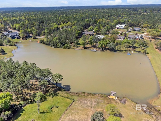 aerial view featuring a water view and a wooded view
