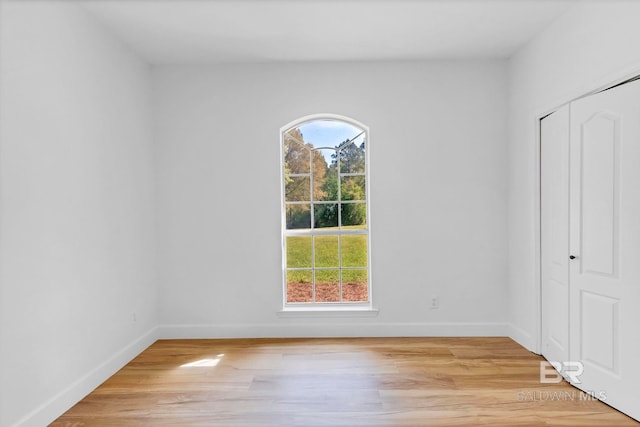 spare room featuring baseboards, a wealth of natural light, and light wood-style flooring
