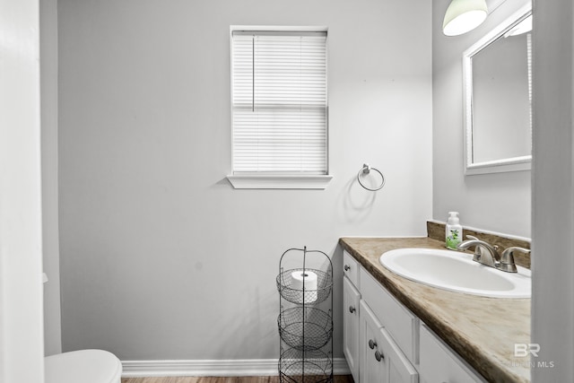 bathroom with toilet and vanity