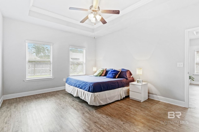 bedroom featuring a raised ceiling, ceiling fan, and wood-type flooring