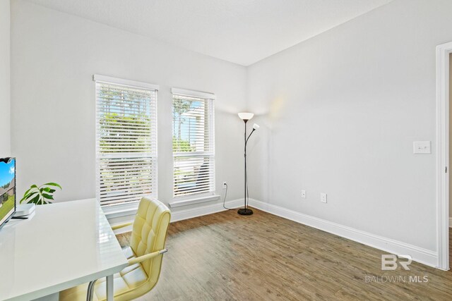 office space with hardwood / wood-style floors