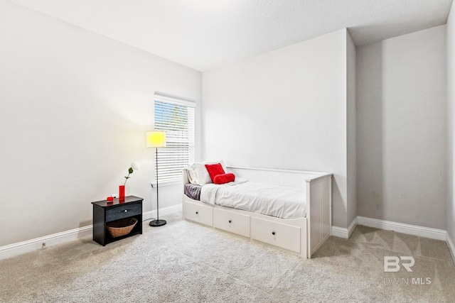 bedroom featuring carpet flooring