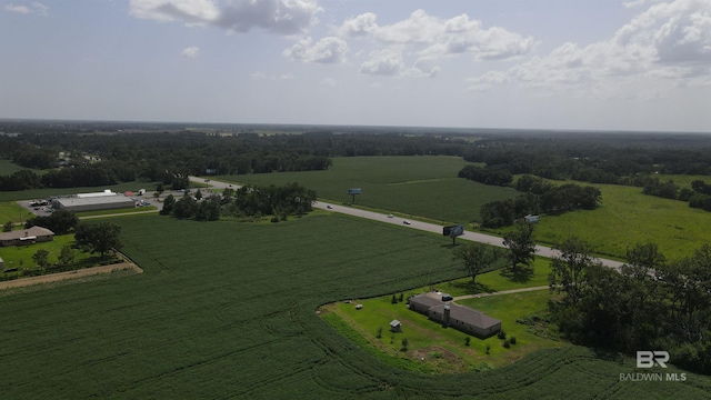 bird's eye view with a rural view