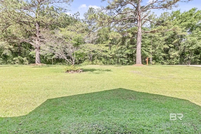 196 Jernigan Rd, Brewton, AL 36426 - view of green lawn