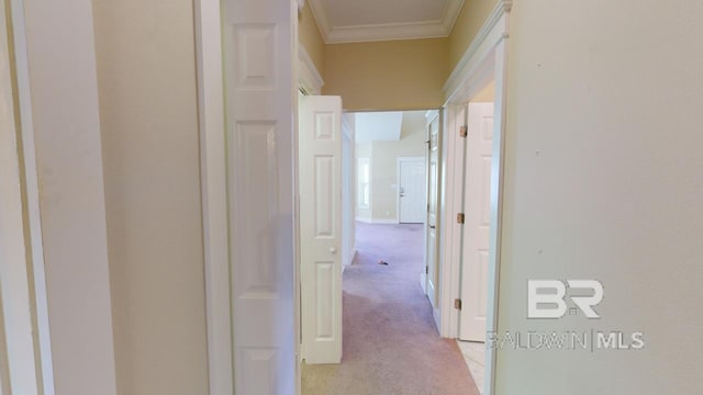 hallway featuring light carpet and crown molding