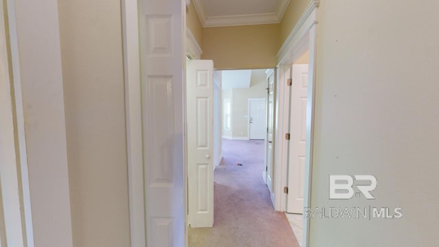 corridor featuring ornamental molding and light carpet