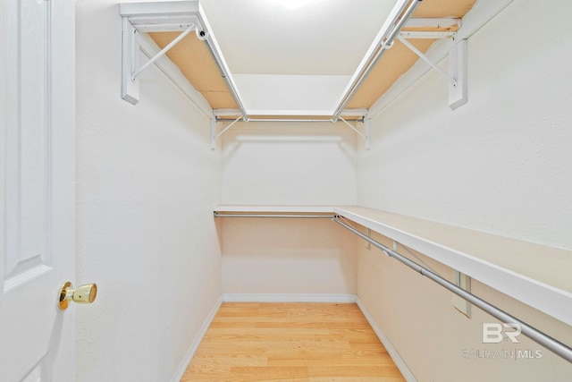 walk in closet featuring light wood-type flooring