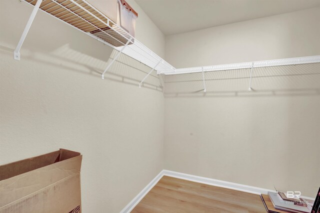 walk in closet featuring light wood-style flooring