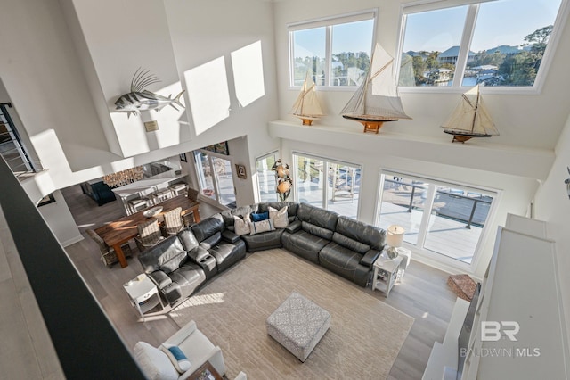 30471 Harbour Dr, Orange Beach, AL 36561 - living room with wood finished floors and a towering ceiling