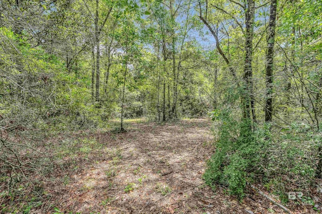 3ACRES County Road 39, Stapleton, AL 36578