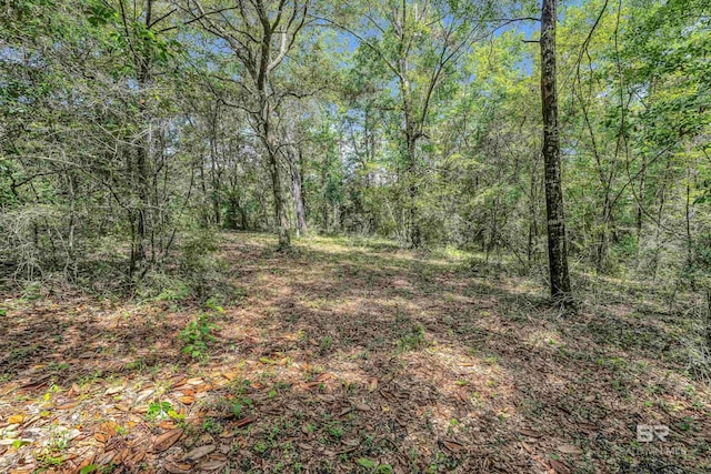 3ACRES County Road 39, Stapleton, AL 36578
