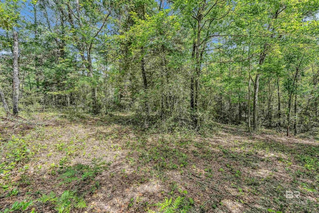 3ACRES County Road 39, Stapleton, AL 36578
