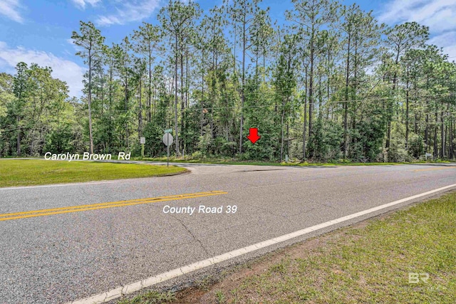 3ACRES County Road 39, Stapleton, AL 36578
