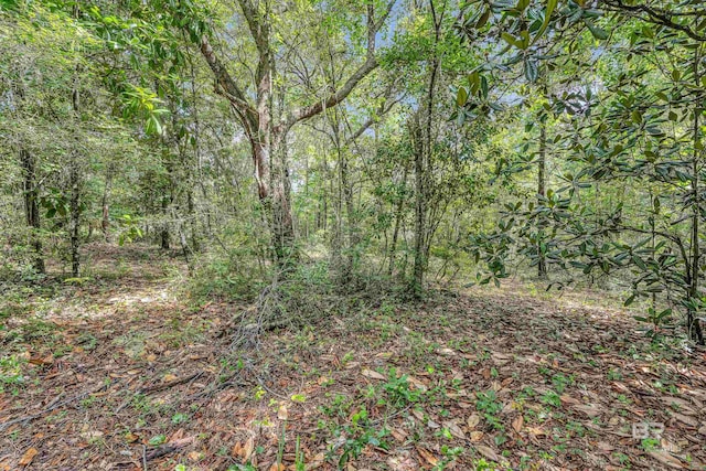 3ACRES County Road 39, Stapleton, AL 36578