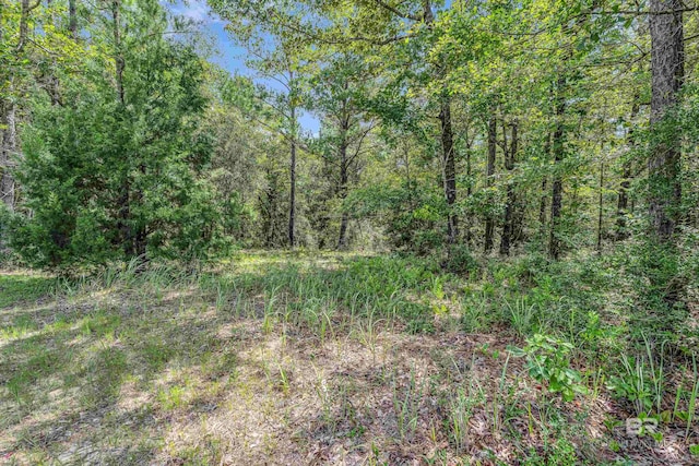 3ACRES County Road 39, Stapleton, AL 36578